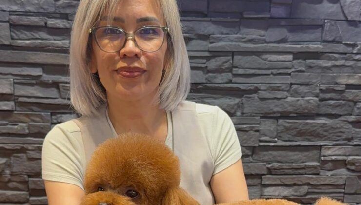 Asian Fusion Grooming ile Köpek Bakımına Estetik Dokunuş