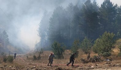 Adalet Bakanı Akın Gürlek açıkladı: 64 orman yangınıyla ilgili 11 tutuklama