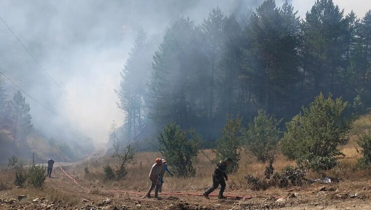 Adalet Bakanı Akın Gürlek açıkladı: 64 orman yangınıyla ilgili 11 tutuklama