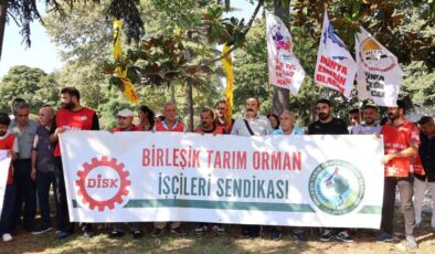 Ağaç A.Ş. işçileri eyleme ara verdi: Mücadele bitmedi