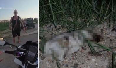 ‘Alman turist yavru köpeği taşla öldürdü’ iddiası: Gözaltına alınıp serbest bırakıldı