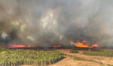 Belçika’da kayıtlara geçen en büyük orman yangını devam ediyor