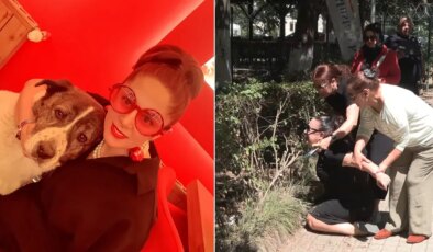 Belediye ekipleri ‘sokak köpeği’ sanarak götürmüş: Günlerdir aradıkları köpeklerini barınakta ölü buldular!