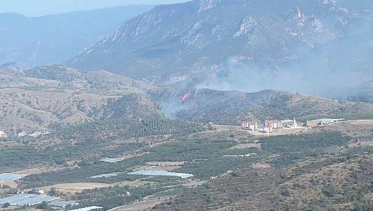 Bilecik’te orman yangını… Kontrol altına alındı
