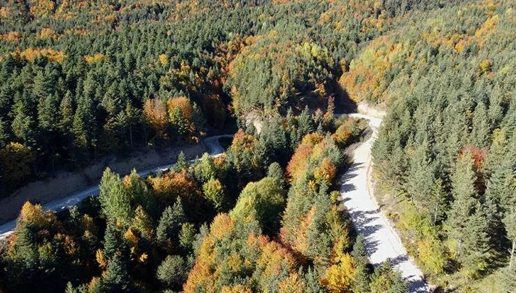 Bolu’da kritik uyarı: Orman yangını riski artıyor