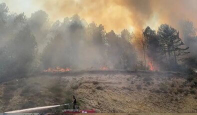 Bolu’da orman yangını: Havadan ve karadan müdahale sürüyor