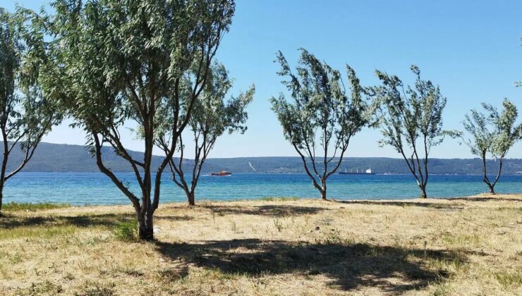 Çanakkale’de plajda mühimmat bulundu