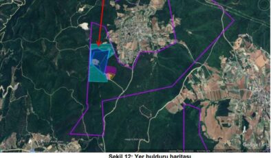 Çatalca’da 24 bin 536 ağaç etkilenecek kuvars ocağına ÇED olumlu