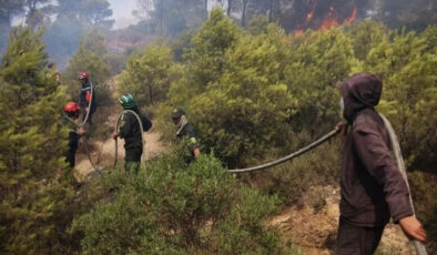 Cezayir’in doğusunda orman yangınları: 12 ölü