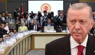 Cumhurbaşkanı Erdoğan’ın eski danışmanından dikkat çeken ‘çerçeve yasa’ çıkışı