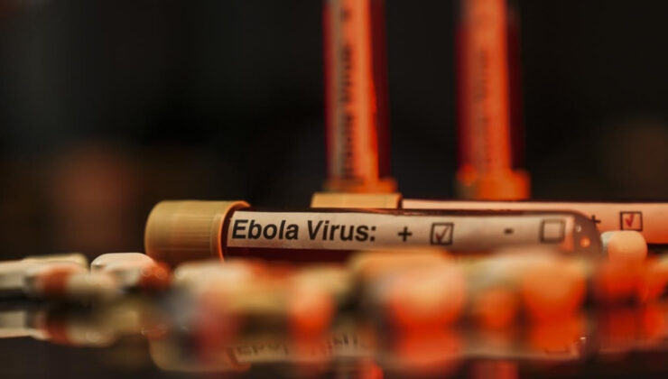 DSÖ Uganda’daki Ebola salgınının sona erdiğini doğruladı