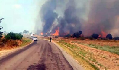 Edirne’de anız yangını ormana sıçradı: Havadan ve karadan müdahale sürüyor