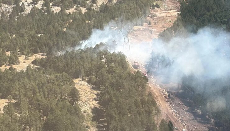 Ekipler saatlerce müdahale etti: Muğla’da orman yangını kontrol altına alındı