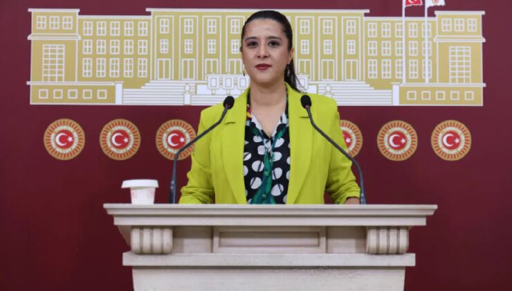 EMEP’li Karaca, Akşehir’de kadın işçiye şiddet iddiası Meclis gündemine taşıdı