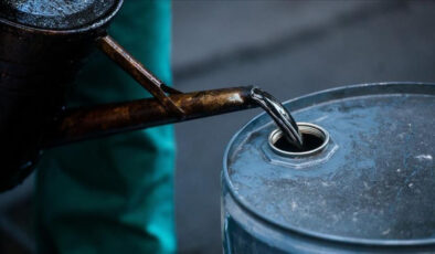 Erzincan’daki sahalarda petrol arama ruhsatı