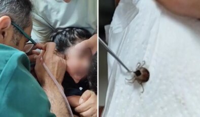 Eskişehir’de kene kabusu: Çocuğun kulağından canlı olarak çıkarıldı