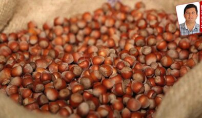 Fındıkta, buğdayda, zeytin yağında alım fiyatları hep beklentilerin altında kaldı: Çiftçinin yüzü gülmedi
