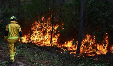 Fransa’da orman yangını riski nedeniyle 50 vilayette turuncu alarma geçildi
