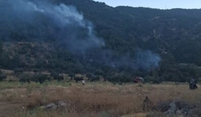 Gaziantep’te çıkan orman yangını havadan ve karadan müdahaleyle söndürüldü