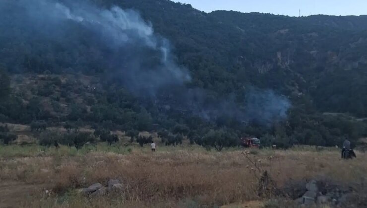 Gaziantep’te çıkan orman yangını havadan ve karadan müdahaleyle söndürüldü