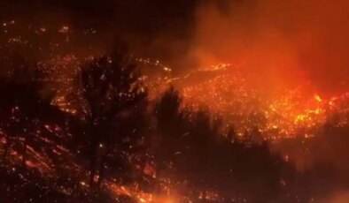 Hırvatistan’da dev orman yangınları… 1’i Polonyalı 4 kişi gözaltına alındı