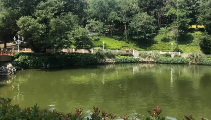 İstanbullu en çok yeşil alan projelerine oy verdi