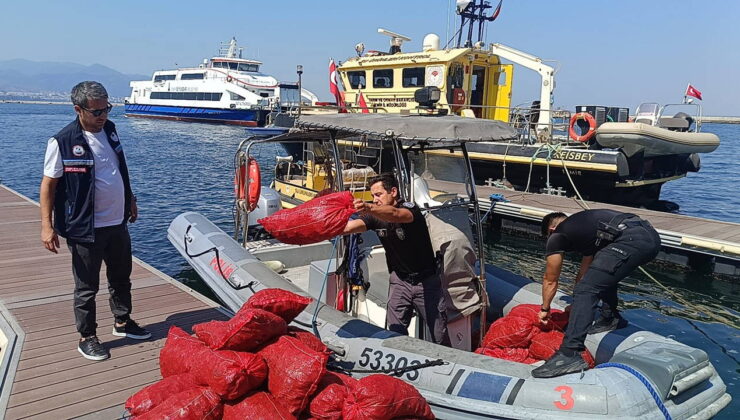 İzmir’de 560 kilo kara midyeye el konuldu
