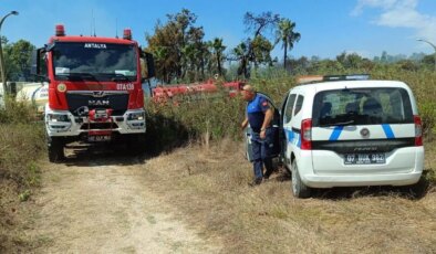 Manavgat’ta sazlık ve ağaçlık alanda yangın