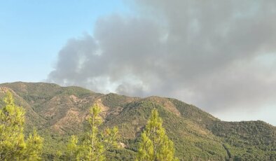 Marmaris’te orman yangını ikinci gününde kontrol altına alındı