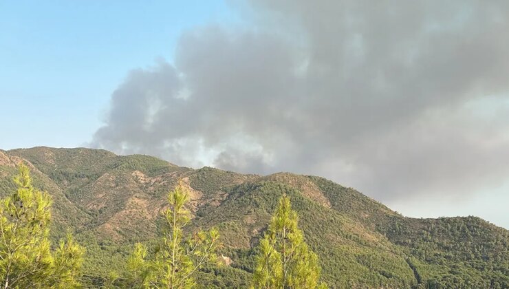 Marmaris’te orman yangını ikinci gününde kontrol altına alındı
