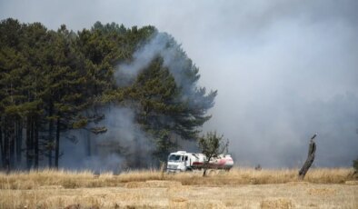 Ormana sıçrayan yangın, erken müdahaleyle söndürüldü
