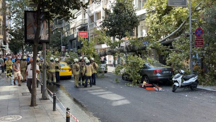 Şişli’de Devrilen Çınar Ağacı İki Aracın Üzerine Düştü