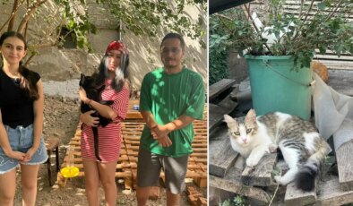 Sokak kedileri için ‘mahalle’ projesi: 13 yaşındaki Bade’den su ve mama kabı desteği