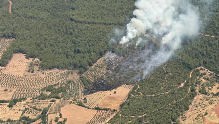 Son dakika… Muğla Yatağan’da orman yangını: Havadan ve karadan müdahale başladı!