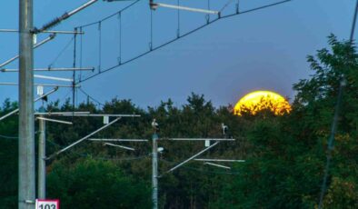 TCDD, Göçmen Kuşlar İçin Bilimsel Proje Başlattı