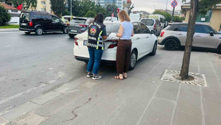 Trafikte Ani Fren Yapan Sürücüye 12 Bin TL Ceza