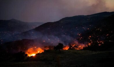 Yunanistan’da peş peşe orman yangınları