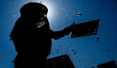 2026’da bal üretiminin 100 bin tona yaklaşması bekleniyor
