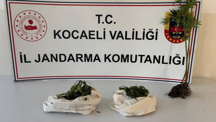 3 adrese baskın yapıldı… Kocaeli’de ‘uyuşturucu’ operasyonu: Bin 12 uyuşturucu hap ele geçirildi