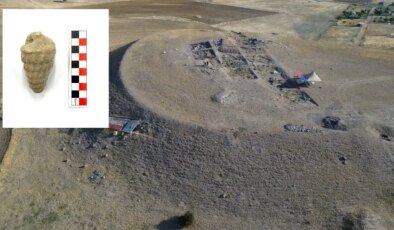 Ankara’da ezber bozan keşif: Külhöyük kazılarında 66 milyon yıllık deniz canlısı fosili bulundu