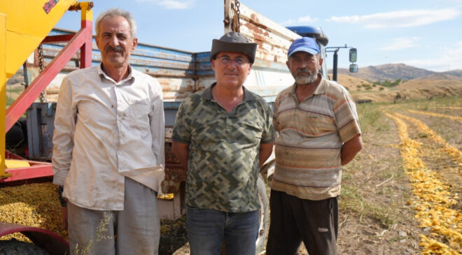 Ankara’da kabak çekirdeği üreticileri hasat döneminde işçi bulamıyor