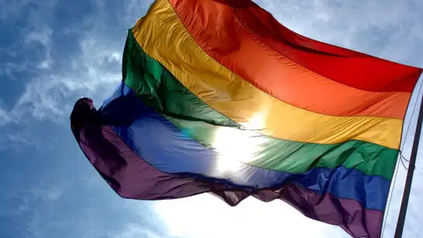 Avrupa Sosyalistleri Partisi’nden Türkiye’deki LGBTİ operasyonlarına tepki