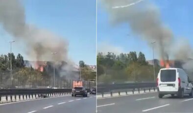 Bakırköy’de ağaçlık alanda yangın çıktı: Yol trafiğe kapatıldı