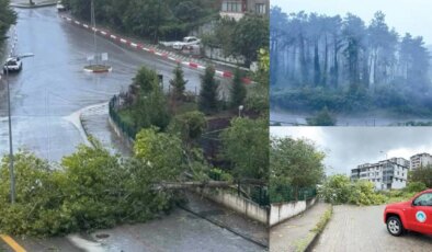 Bartın’da kuvvetli rüzgar… Elektrik direkleri devrildi, asansörlerde mahsur kalanlar oldu