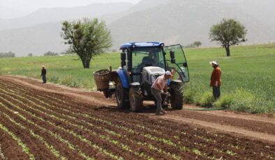 Bloomberg: Türkiye ile Rusya arasında gübre anlaşması hazırlanıyor