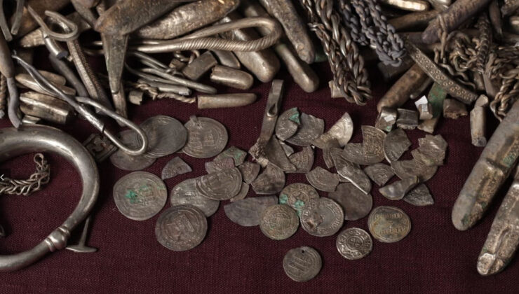 Danimarka’da bahçesini temizleyen bir kişi, Viking dönemine ait gümüş hazinesi buldu