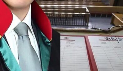 Dava dosyası e-Devlet’ten nasıl sorgulanır? Dosya aşamaları ne anlama gelir?