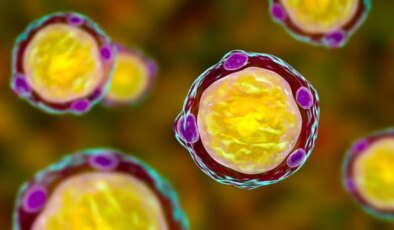 Dev bilimsel araştırma: Akademisyenler ‘Blastocystis’ mikroorganizmasının izini sürüyor