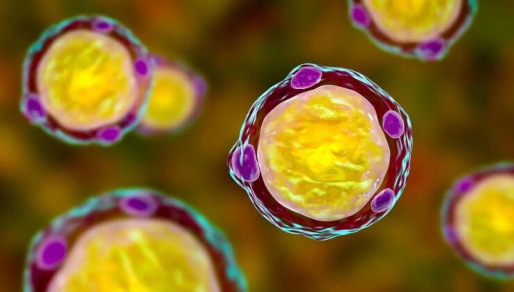 Dev bilimsel araştırma: Akademisyenler ‘Blastocystis’ mikroorganizmasının izini sürüyor