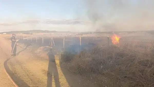Edirne’de lavanta tarlasında yangın